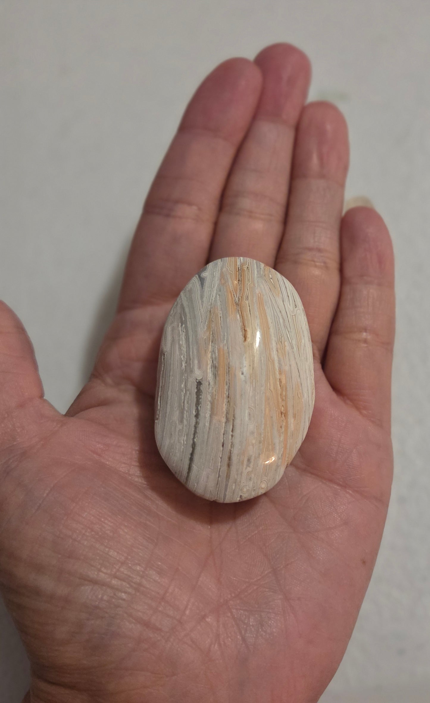 Mexican White Lace Agate palm stone