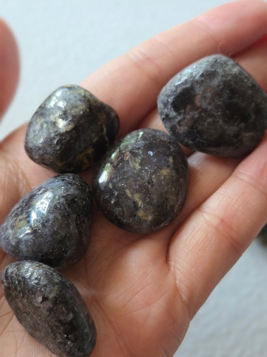Iolite small tumbles- per piece