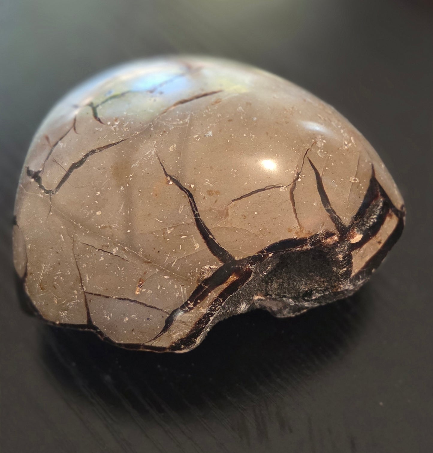 Septarian Jasper Rough Piece- about 1.15 lbs