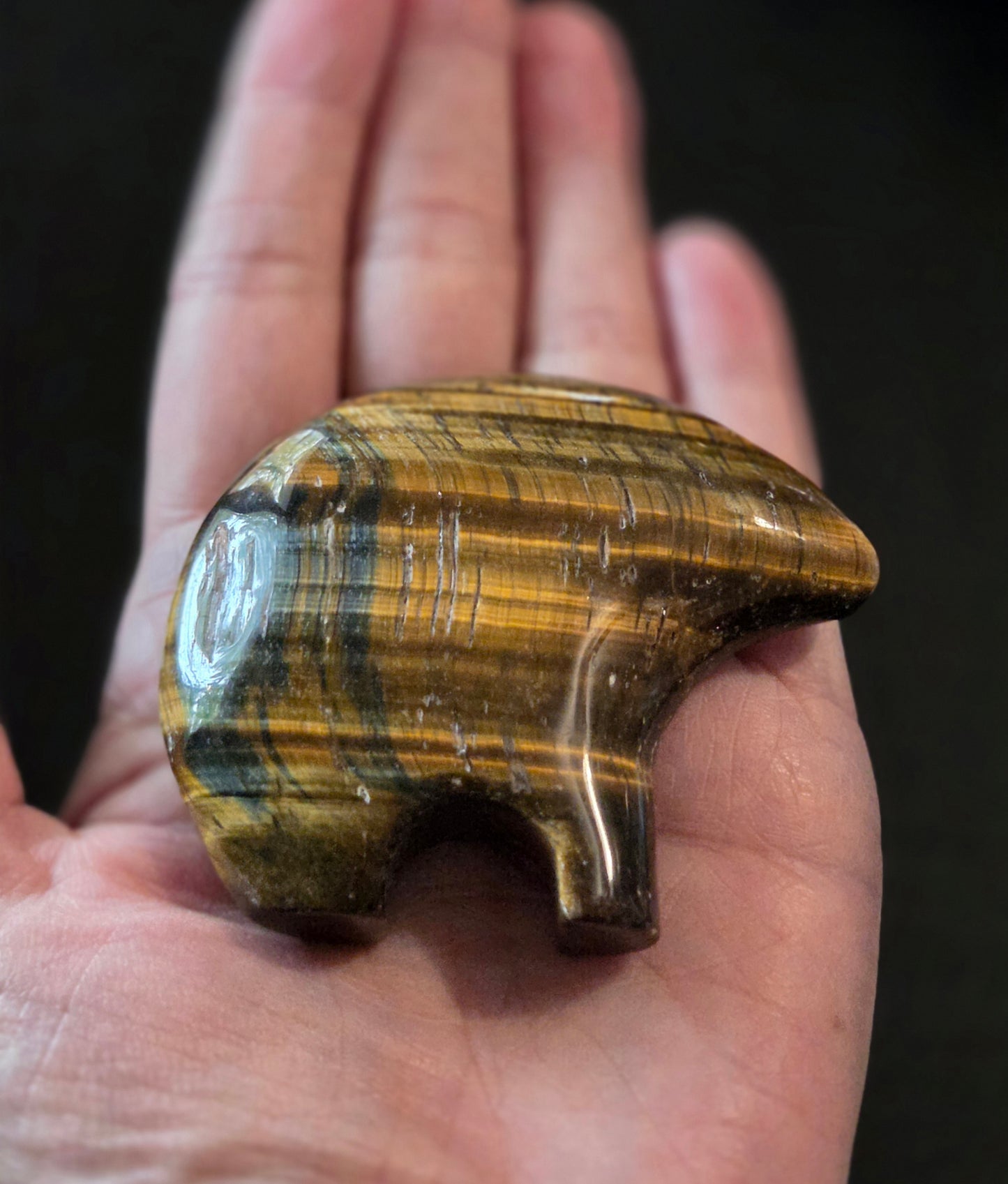 Tigers Eye Zuni Bear