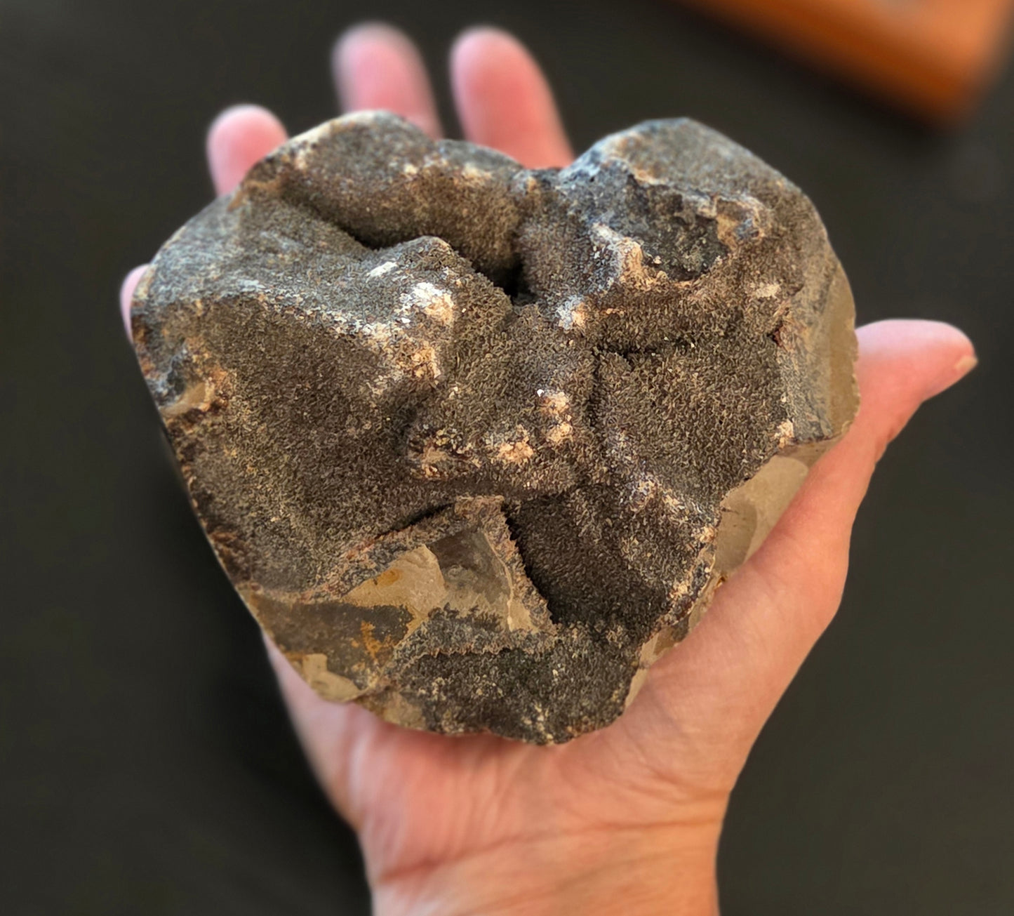 Septarian Jasper Rough Piece- about 1.15 lbs